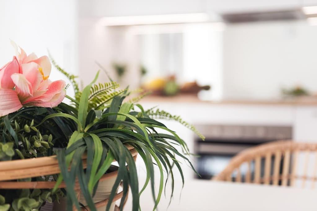 Vayadu Etoile House Apartment Ospedaletti